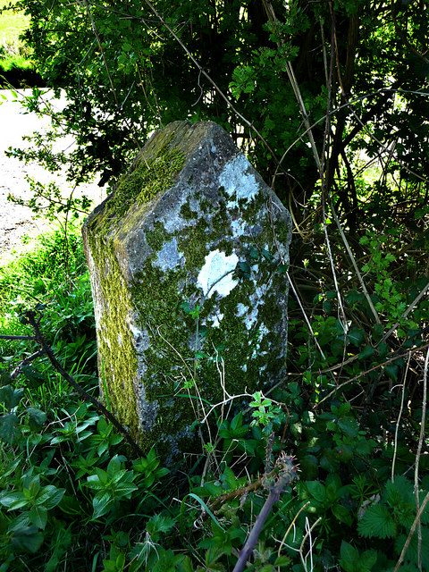 Photo of The Murder Stone (James Stares)