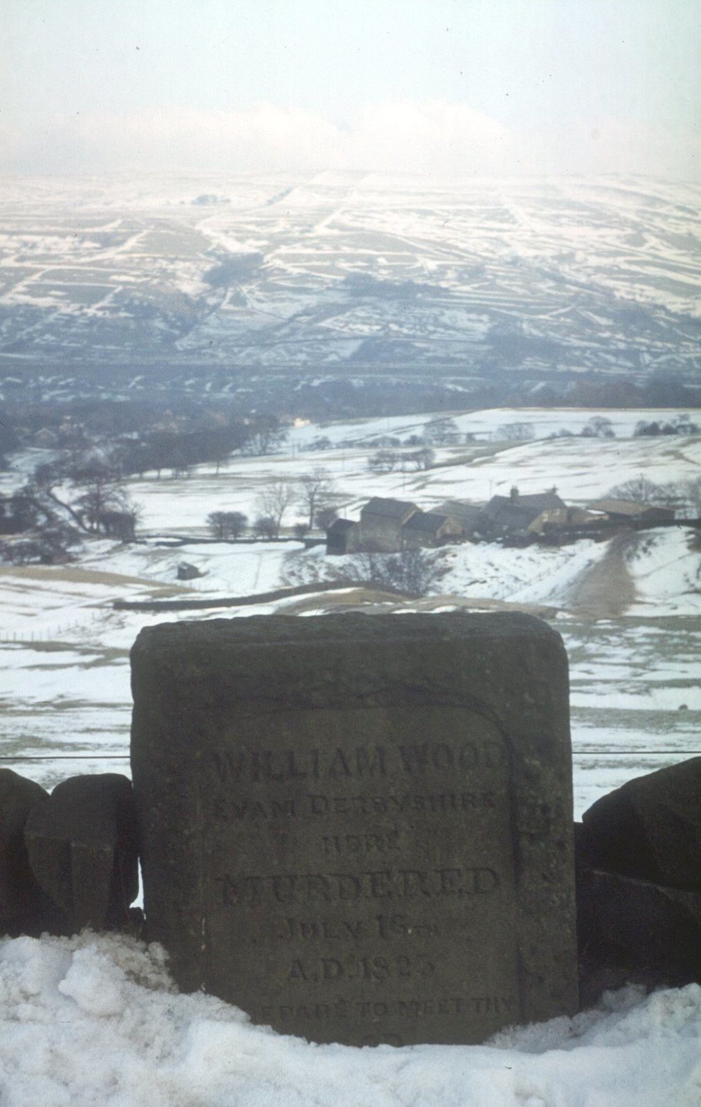Photo of The Murder Stone (William Wood)